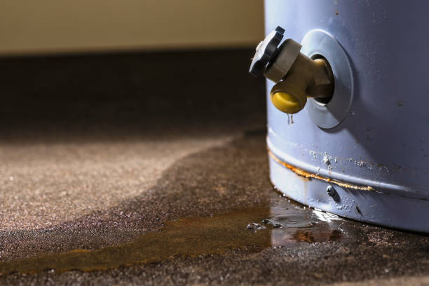 Best Ceiling water damage repair  in La Crosse, KS