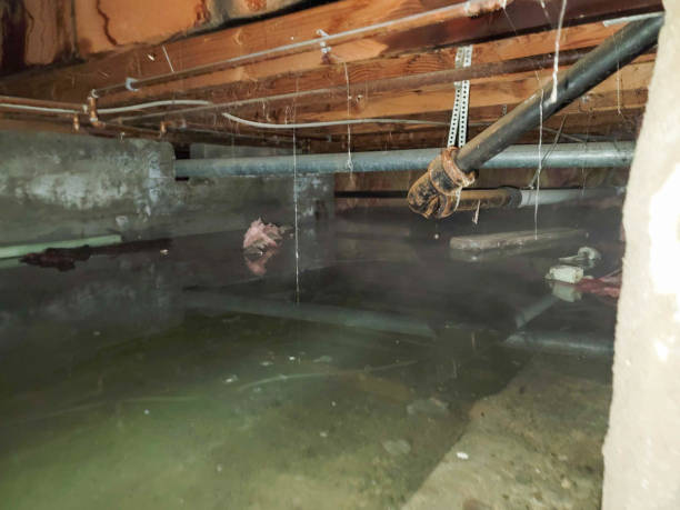 Best Flooded house restoration  in La Crosse, KS