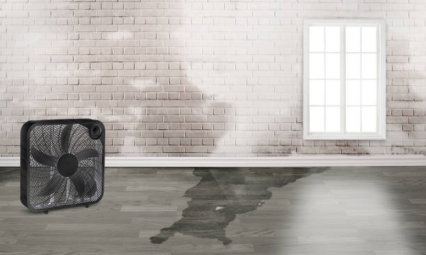 Best 24-hour water damage restoration  in La Crosse, KS
