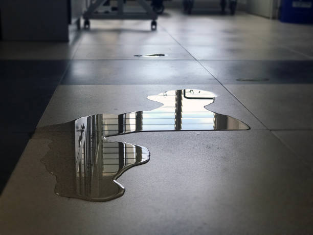 Best 24-hour water damage restoration  in La Crosse, KS