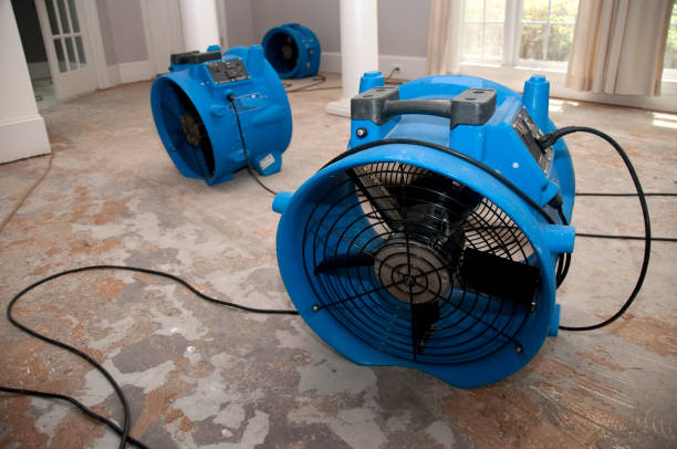 Best Water damage contractors near me  in La Crosse, KS