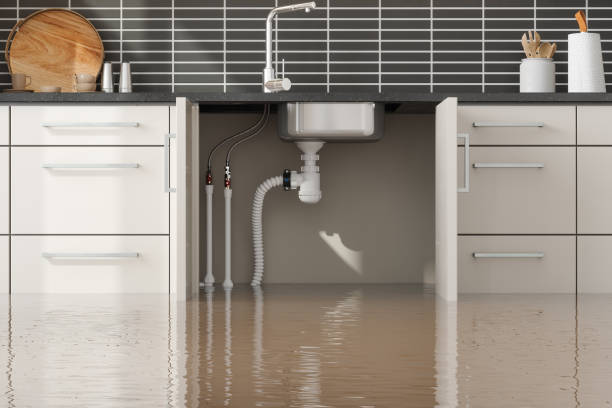 Best Flood damage cleanup  in La Crosse, KS
