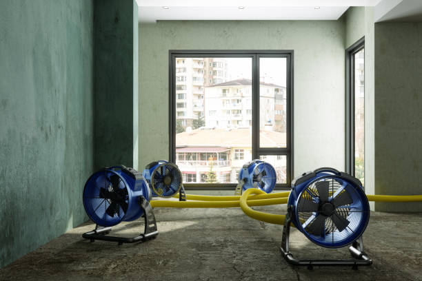 Best Water damage restoration near me  in La Crosse, KS